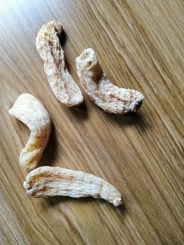 益陽(yáng)瑪山產(chǎn)業(yè)機(jī)械有限公司，湖南益陽(yáng)螺旋風(fēng)管廠家，熱風(fēng)食品烤房