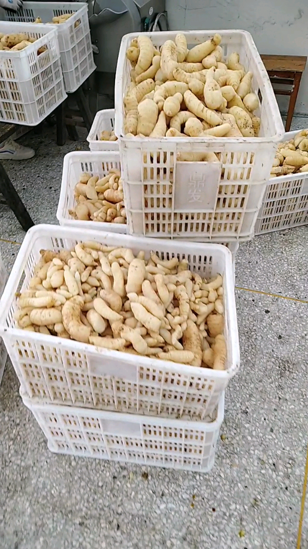 益陽(yáng)瑪山產(chǎn)業(yè)機(jī)械有限公司，湖南益陽(yáng)螺旋風(fēng)管廠家，熱風(fēng)食品烤房